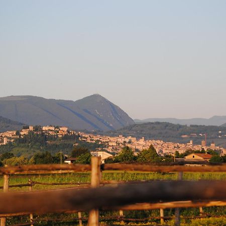 Agriturismo Il Barco Spello Exteriér fotografie