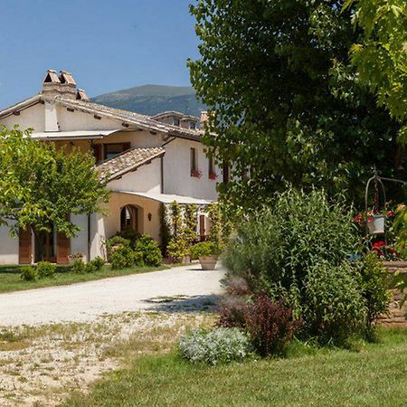 Agriturismo Il Barco Spello Exteriér fotografie