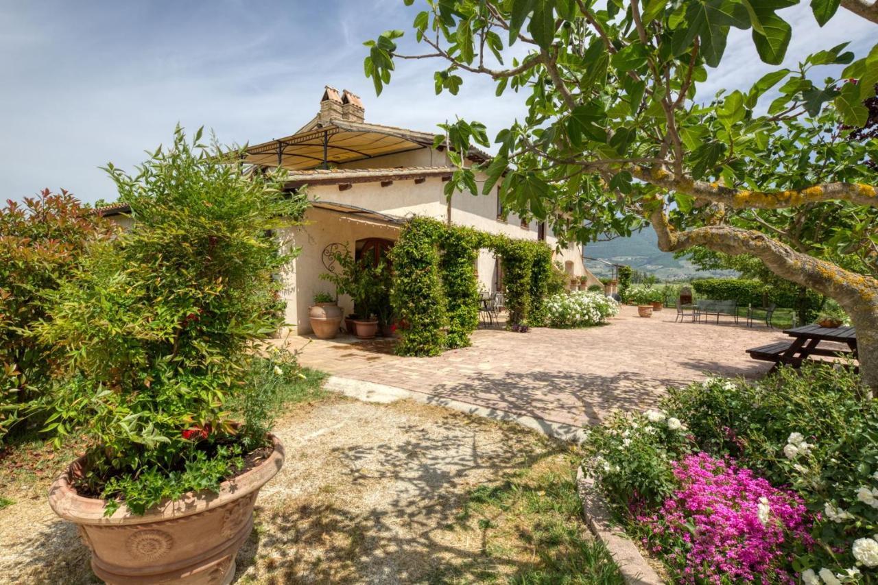 Agriturismo Il Barco Spello Exteriér fotografie
