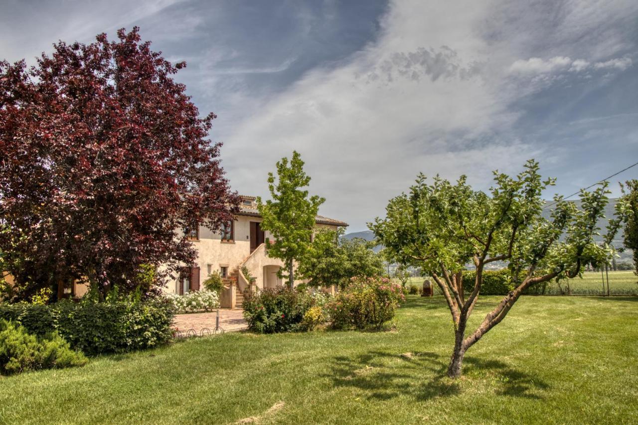 Agriturismo Il Barco Spello Exteriér fotografie