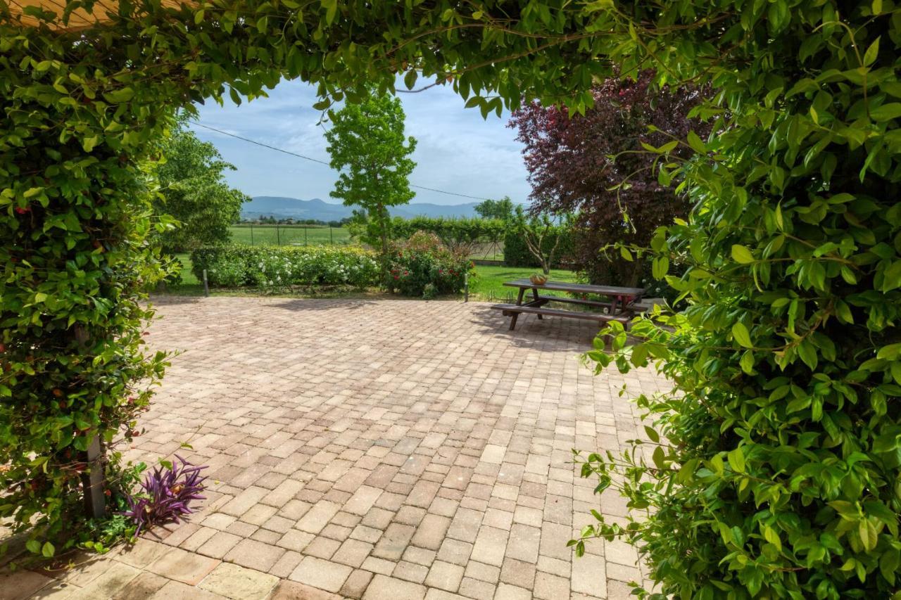 Agriturismo Il Barco Spello Exteriér fotografie