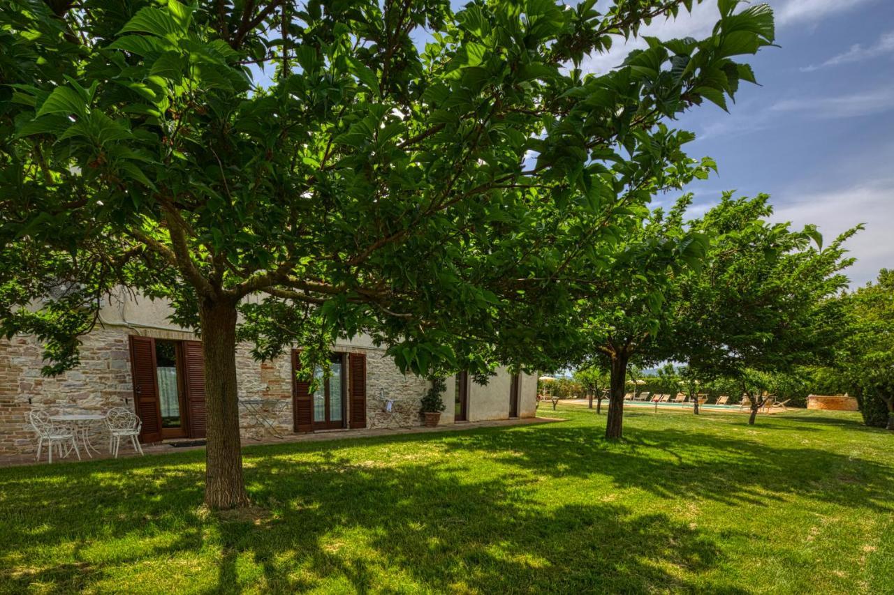 Agriturismo Il Barco Spello Exteriér fotografie