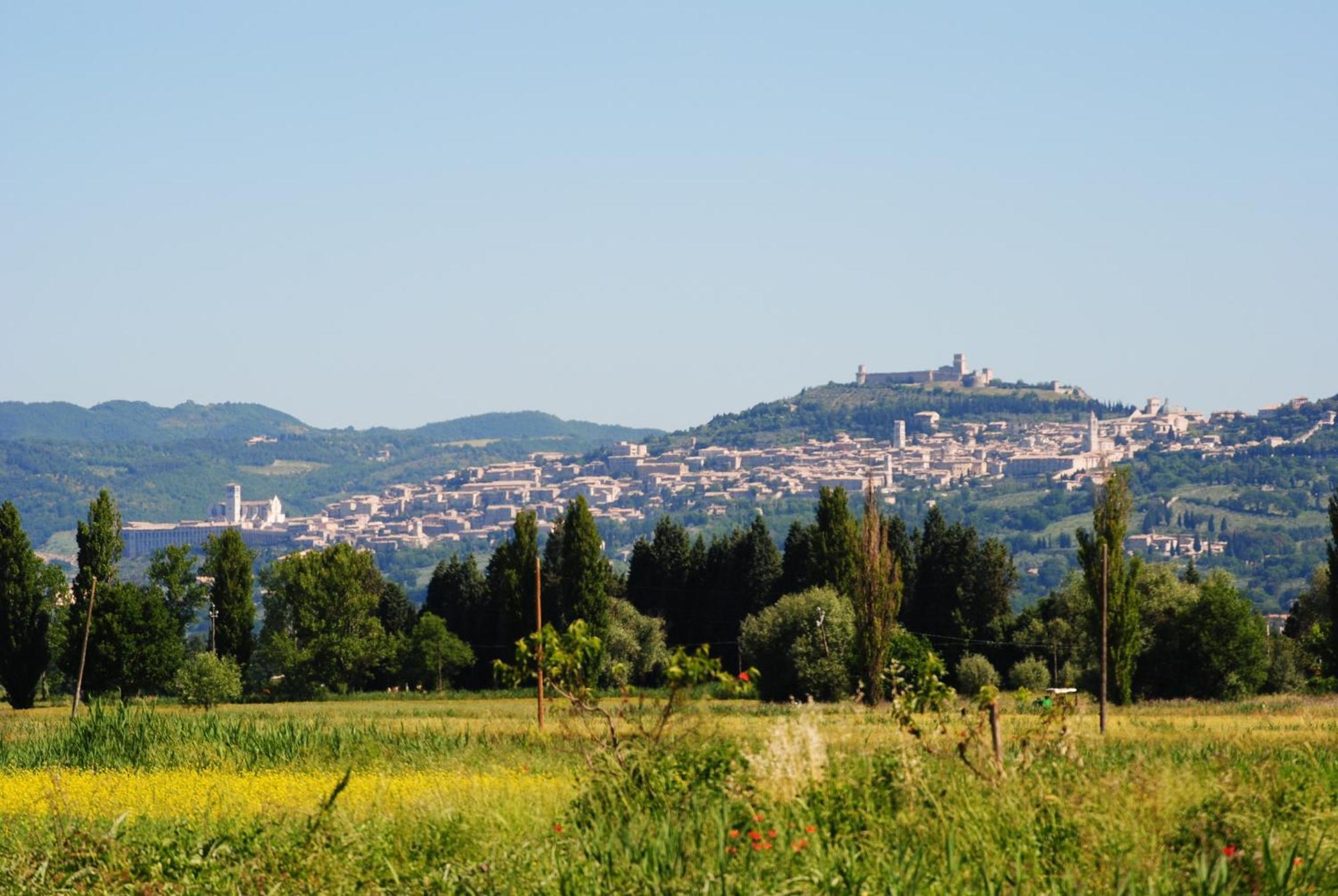 Agriturismo Il Barco Spello Exteriér fotografie