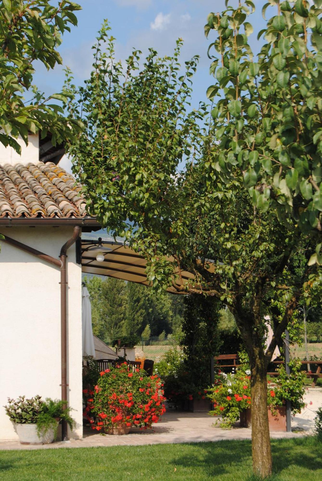 Agriturismo Il Barco Spello Exteriér fotografie