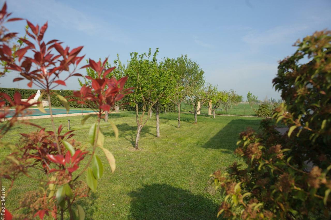 Agriturismo Il Barco Spello Exteriér fotografie