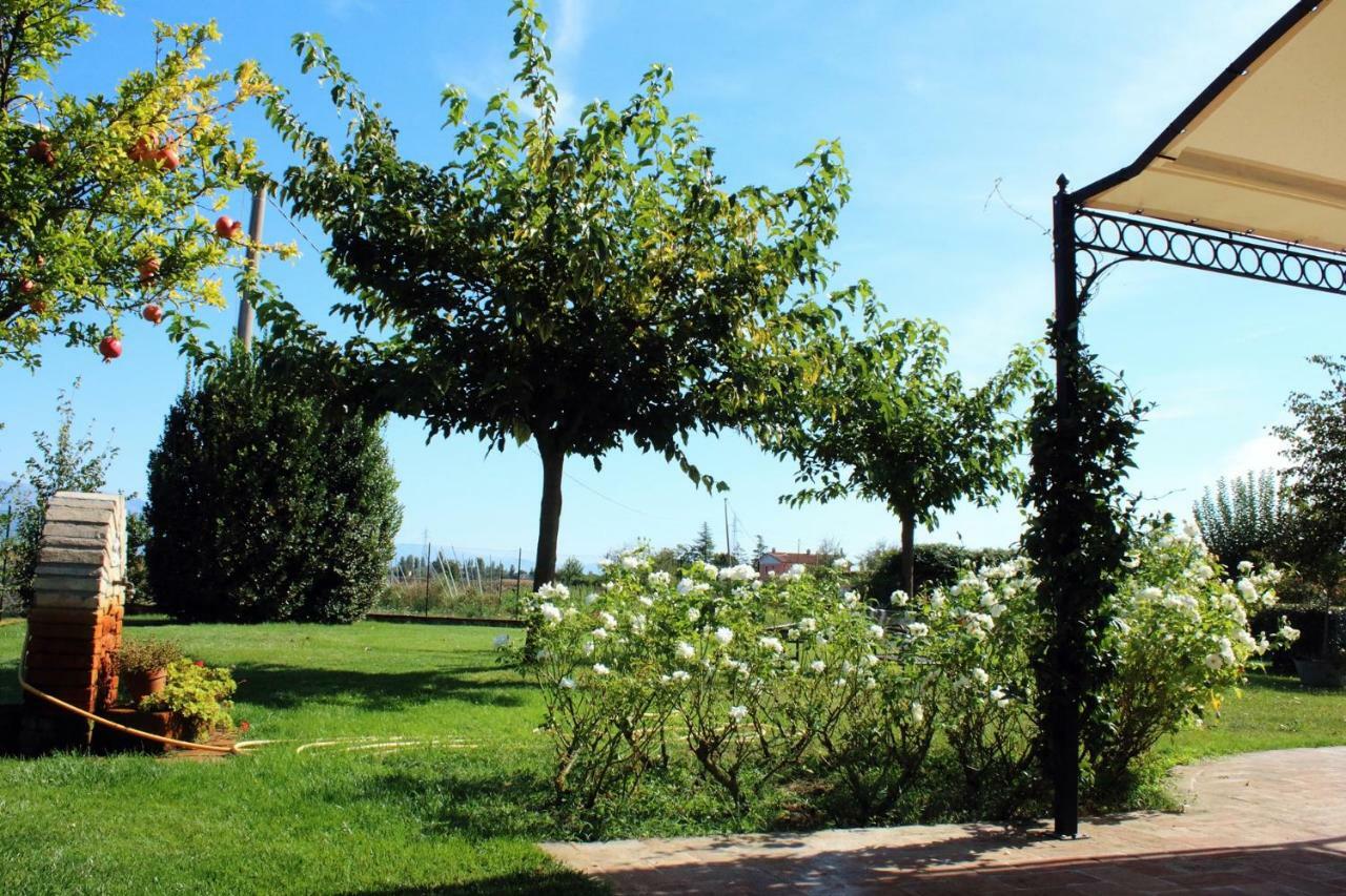 Agriturismo Il Barco Spello Exteriér fotografie